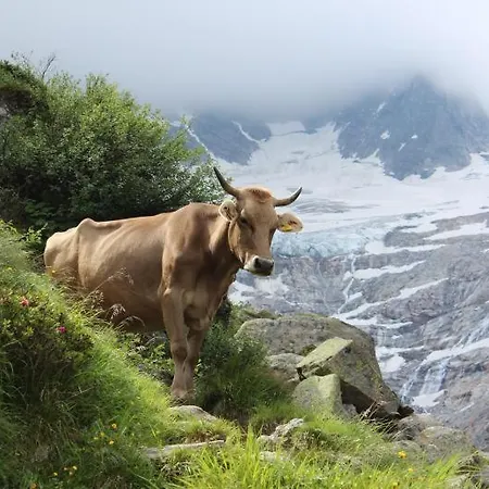 Almstueberl - Schiestl's Ferienhuetten