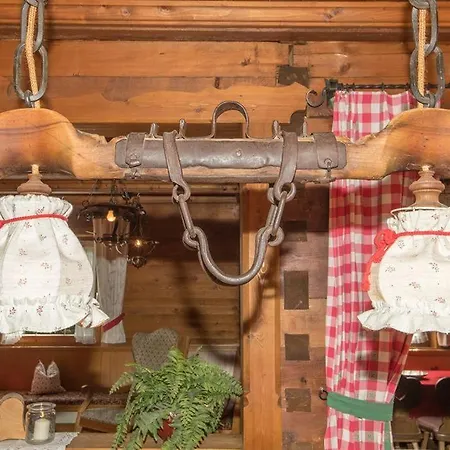 Dağ evi Almstueberl - Schiestl's Ferienhuetten *